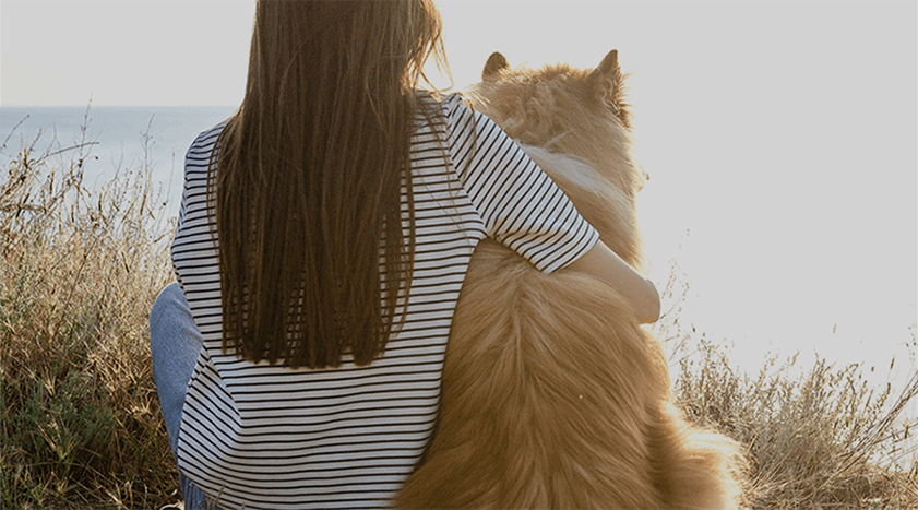 Philosophie et valeurs